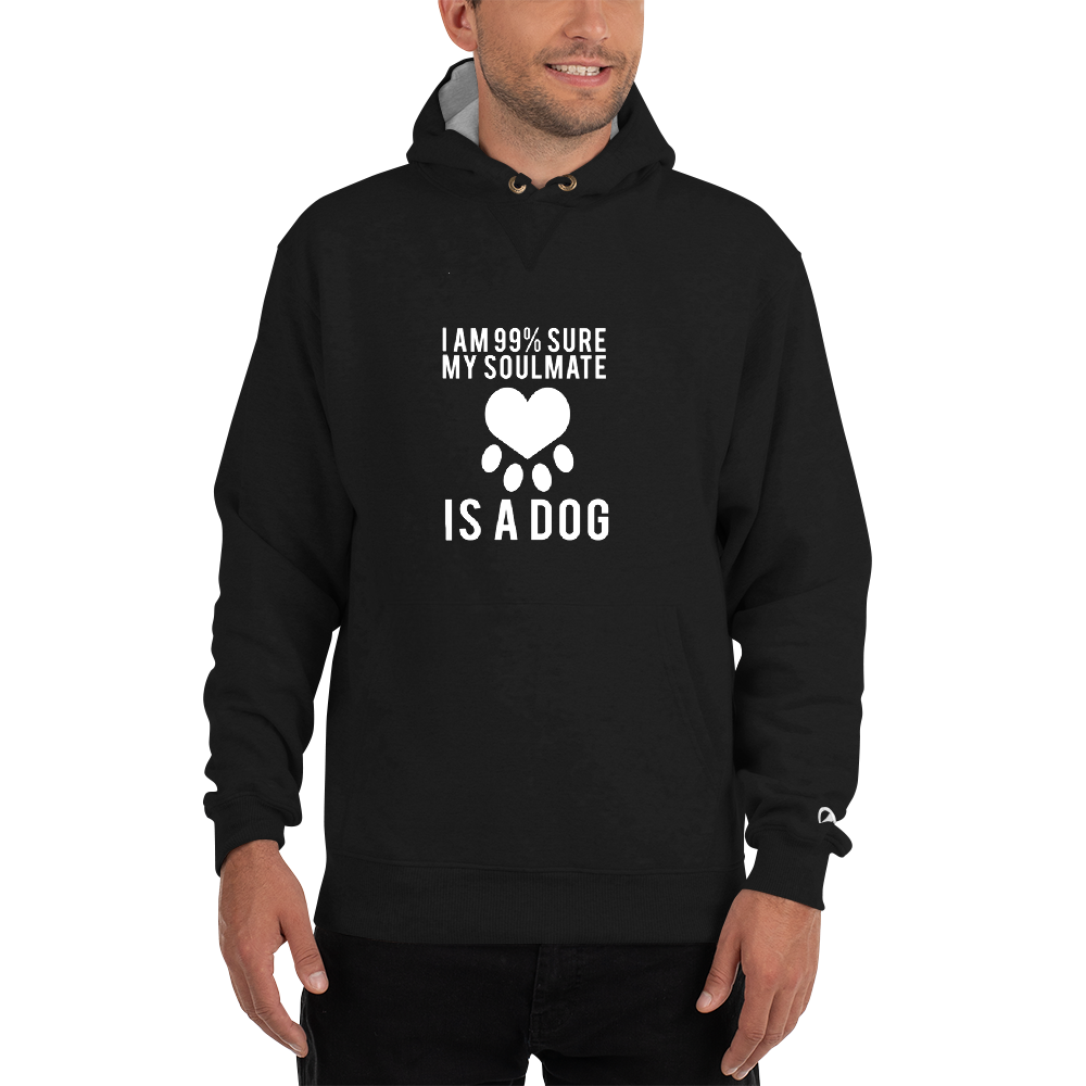 I am 99% sure my soulmate Hoodie