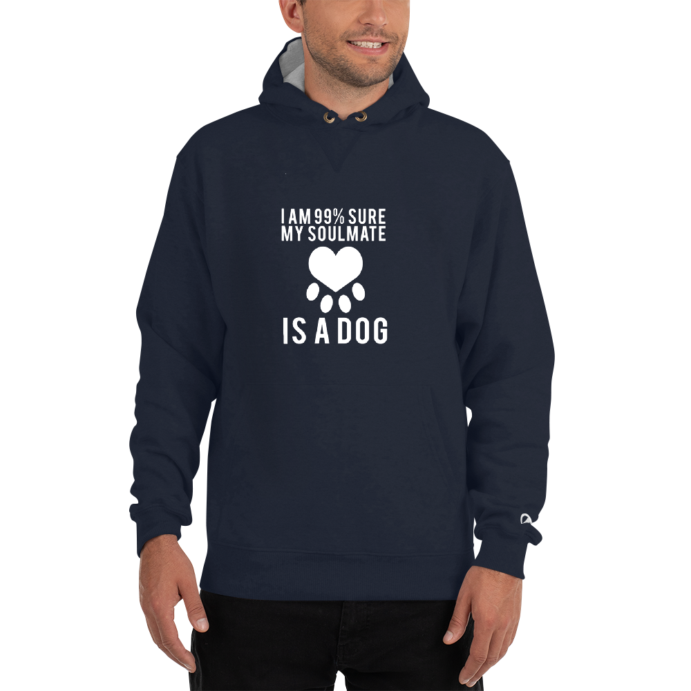 I am 99% sure my soulmate Hoodie